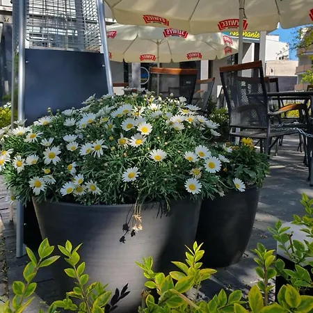 Perfektmari Moderner Piast 5 *